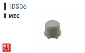 1DS06
