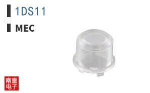 1DS11