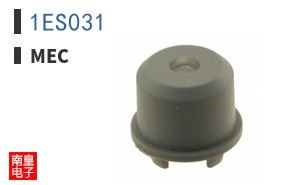 1ES031
