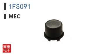 1FS091