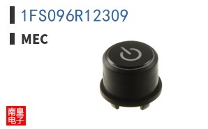 1FS096R12309