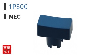 1PS00