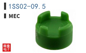 1SS02-09.5
