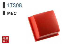 1TS08