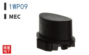 1WP09