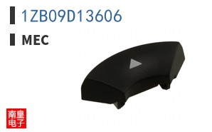 1ZB09D13606