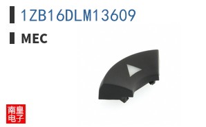 1ZB16DLM13609