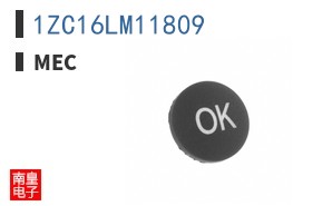 1ZC16LM11809