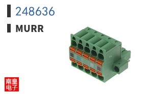 248636