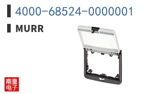 4000-68524-0000001