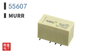 55607