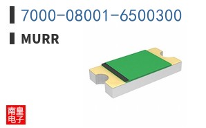 7000-08001-6500300
