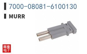 7000-08081-6100130