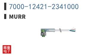 7000-12421-2341000