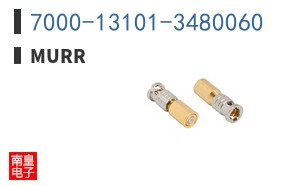 7000-13101-3480060
