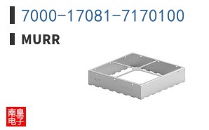 7000-17081-7170100