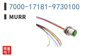 7000-17181-9730100