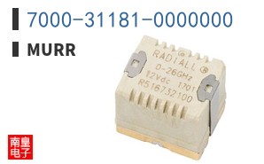 7000-31181-0000000