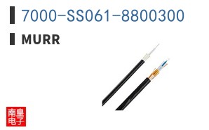 7000-SS061-8800300