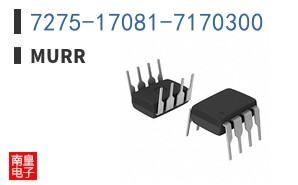 7275-17081-7170300