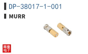 DP-38017-1-001