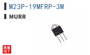 M23P-19MFRP-3M