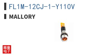 FL1M-12CJ-1-Y110V