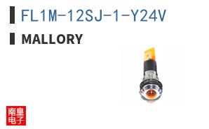 FL1M-12SJ-1-Y24V