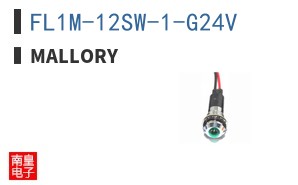 FL1M-12SW-1-G24V