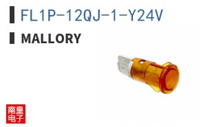 FL1P-12QJ-1-Y24V