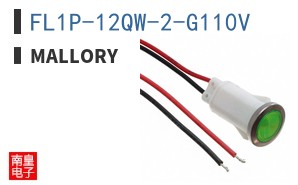FL1P-12QW-2-G110V