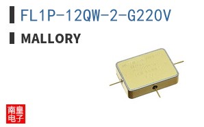 FL1P-12QW-2-G220V