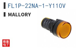 FL1P-22NA-1-Y110V