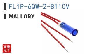 FL1P-6QW-2-B110V