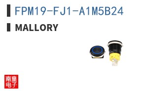 FPM19-FJ1-A1M5B24