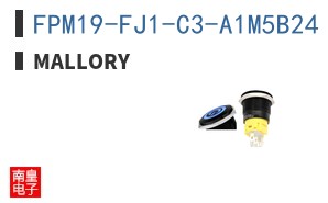 FPM19-FJ1-C3-A1M5B24