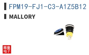 FPM19-FJ1-C3-A1Z5B12