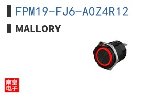 FPM19-FJ6-A0Z4R12