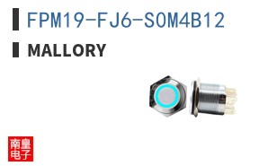 FPM19-FJ6-S0M4B12