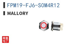 FPM19-FJ6-S0M4R12