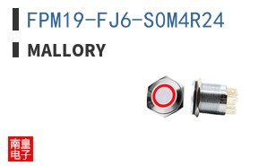 FPM19-FJ6-S0M4R24
