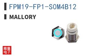 FPM19-FP1-S0M4B12