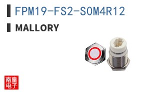 FPM19-FS2-S0M4R12