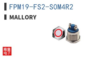 FPM19-FS2-S0M4R2