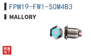 FPM19-FW1-S0M4B3