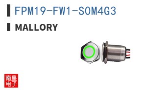 FPM19-FW1-S0M4G3