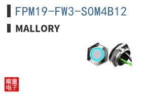 FPM19-FW3-S0M4B12