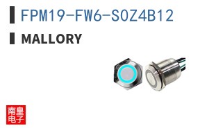 FPM19-FW6-S0Z4B12