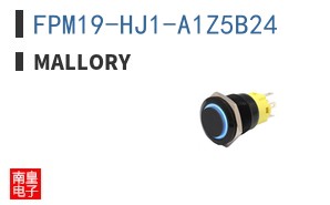 FPM19-HJ1-A1Z5B24