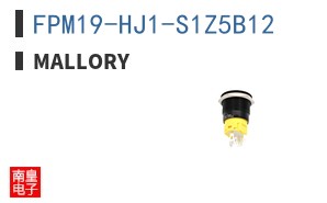 FPM19-HJ1-S1Z5B12